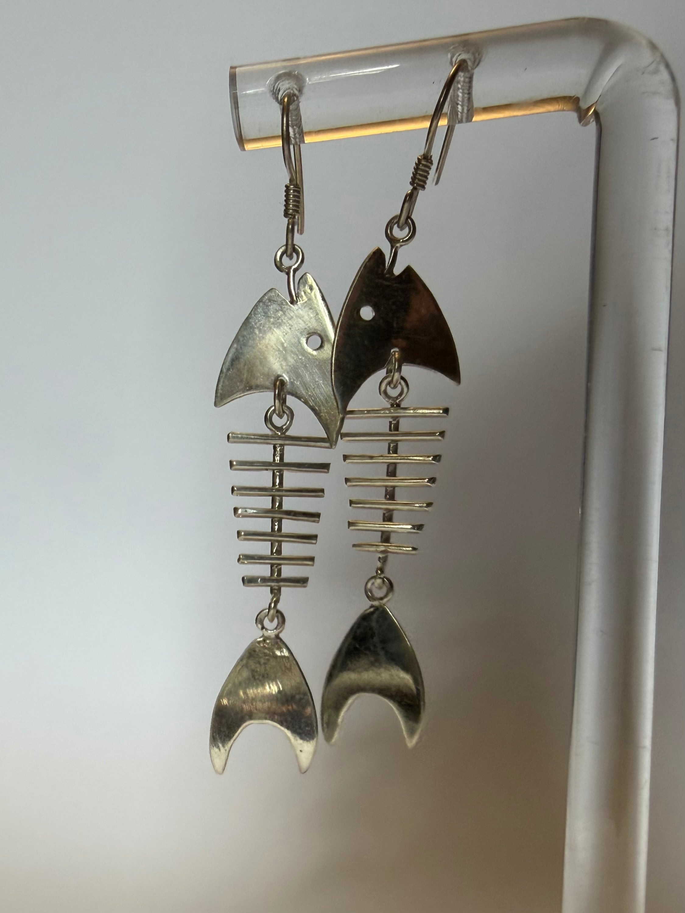 Silver Fish